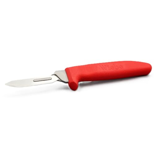 Best Knife for Skinning Coyotes
