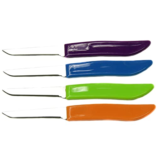 Best Inexpensive Paring Knife