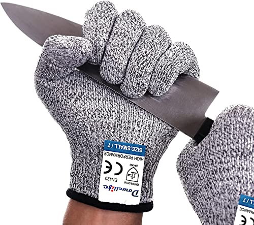 Best Oyster Shucking Gloves