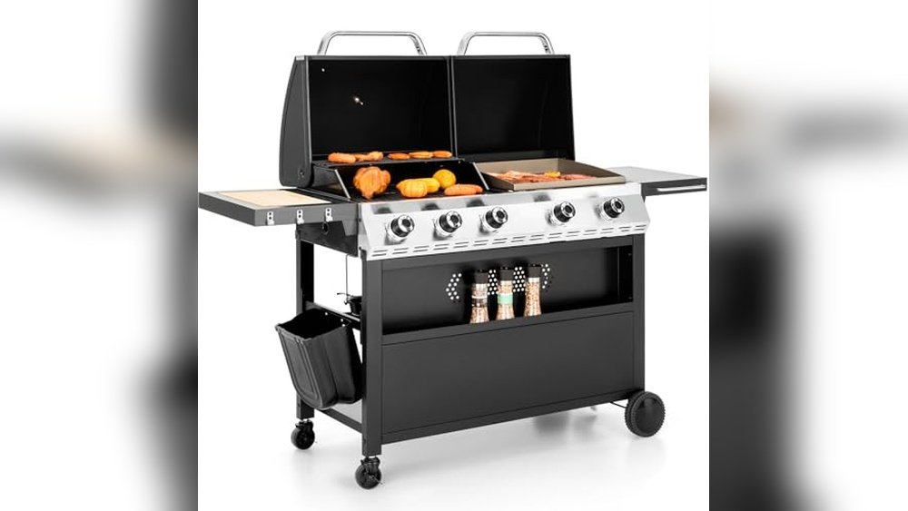 Best Bbq Grill And Griddle Combo