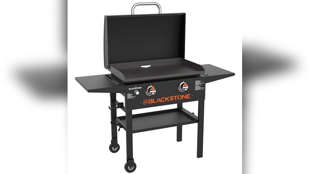 Best Outdoor Griddle on the Market