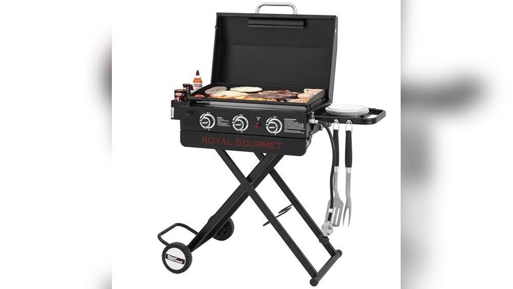 Best Portable Griddles