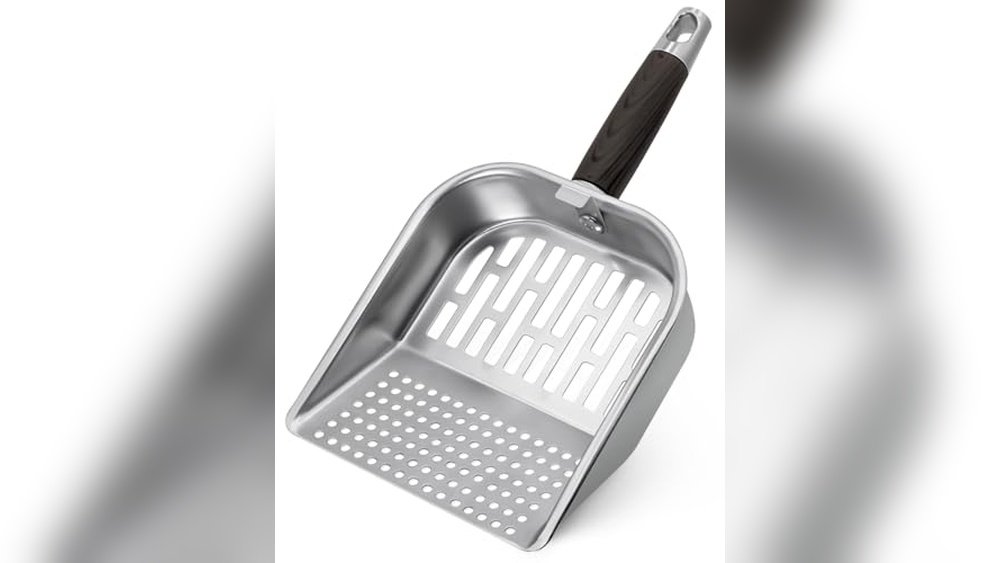 Best Stir Fry on Blackstone Griddle