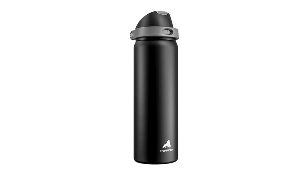 Best Water Bottle for Lunch Box