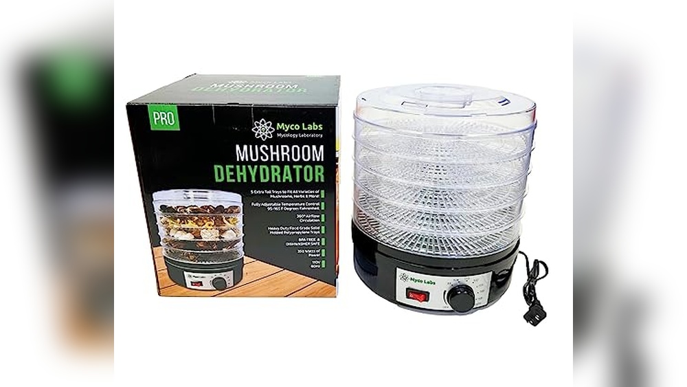 Best Dehydrator for Shrooms