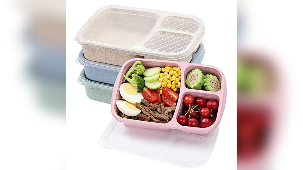 Best Food Containers for Lunch Boxes
