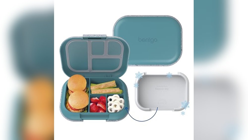 Best Kids Lunch Boxes for School