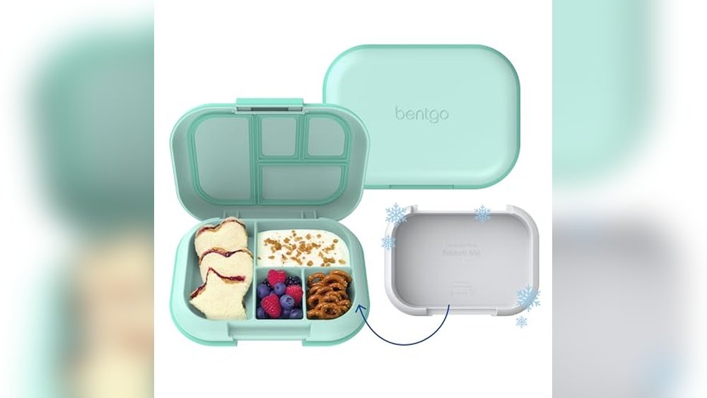 Best Kindergarten Lunch Box