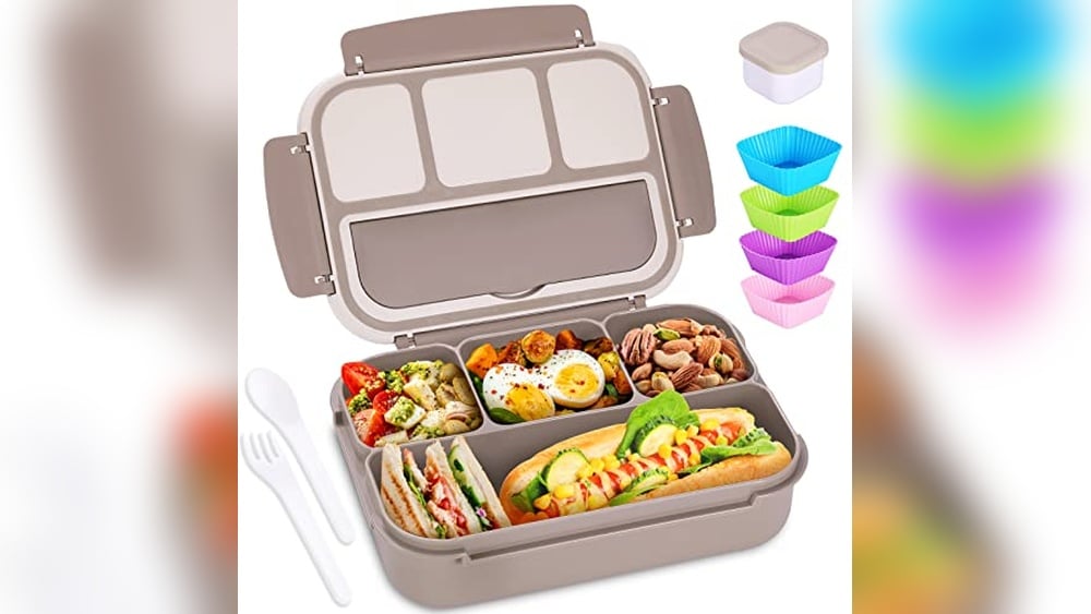 Best Lunch Box Containers for Adults