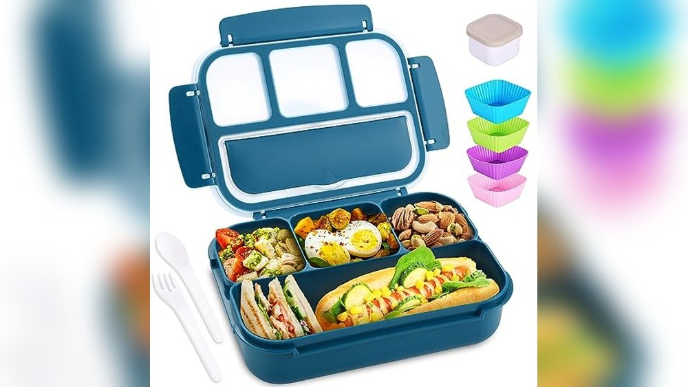 Best Lunch Box for Pre K
