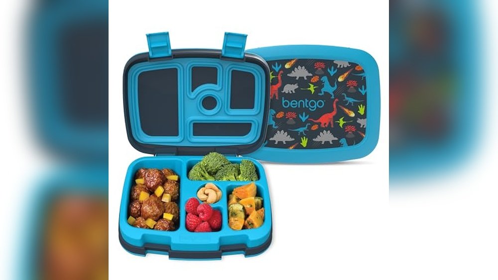 Best Lunch Boxes for 4 Year Olds